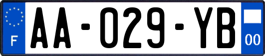 AA-029-YB