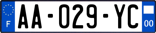 AA-029-YC