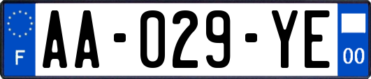 AA-029-YE