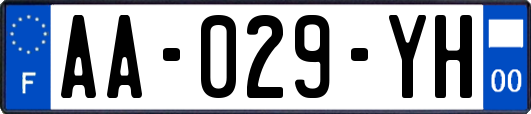 AA-029-YH