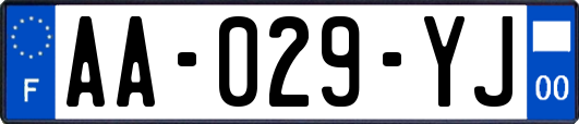 AA-029-YJ