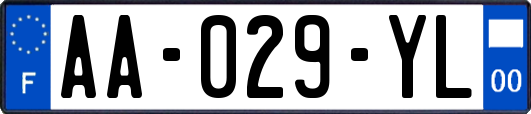 AA-029-YL