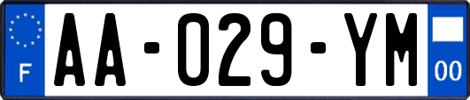 AA-029-YM