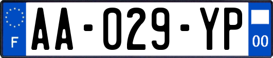 AA-029-YP