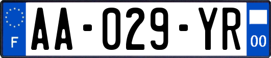 AA-029-YR