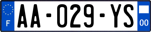 AA-029-YS