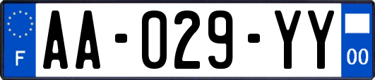 AA-029-YY