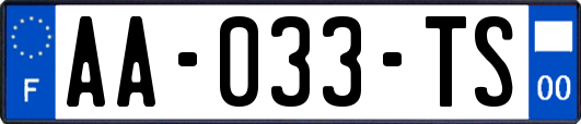 AA-033-TS