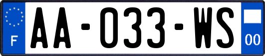 AA-033-WS