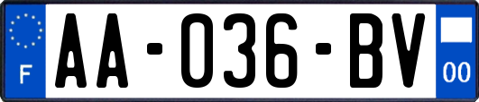 AA-036-BV