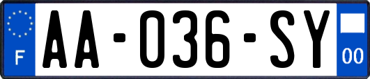 AA-036-SY