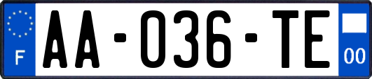 AA-036-TE