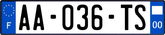 AA-036-TS