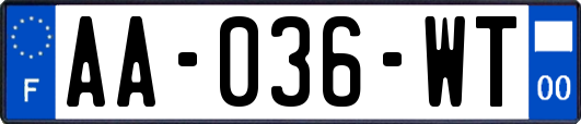 AA-036-WT