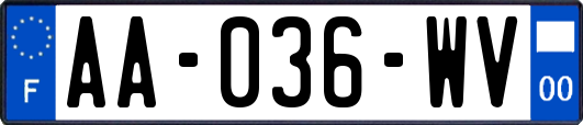 AA-036-WV