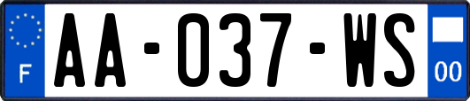 AA-037-WS