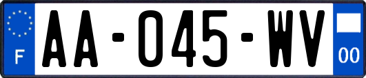 AA-045-WV