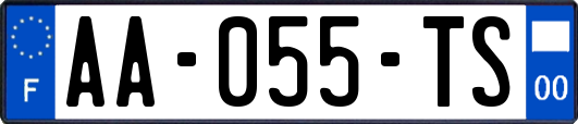 AA-055-TS