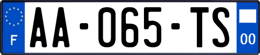 AA-065-TS