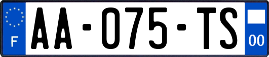 AA-075-TS