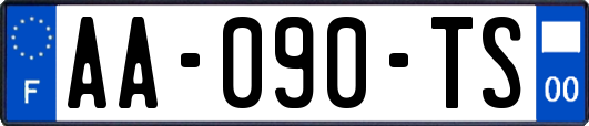 AA-090-TS