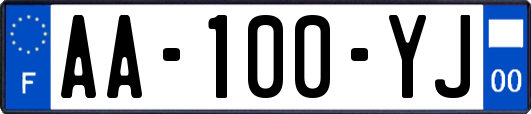 AA-100-YJ