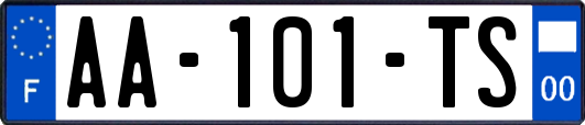 AA-101-TS