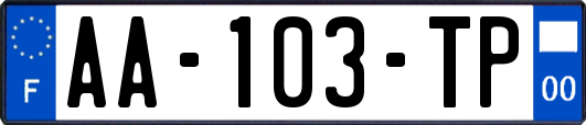 AA-103-TP