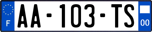 AA-103-TS