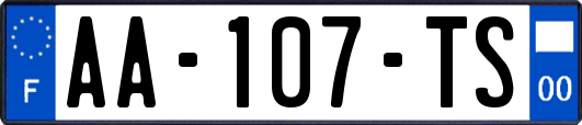 AA-107-TS