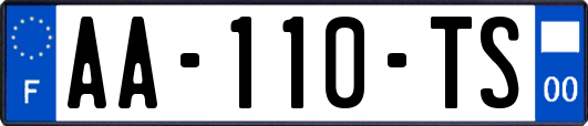 AA-110-TS