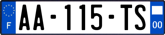 AA-115-TS