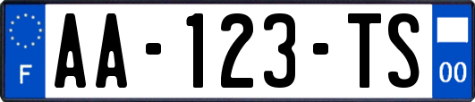 AA-123-TS