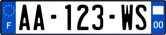 AA-123-WS