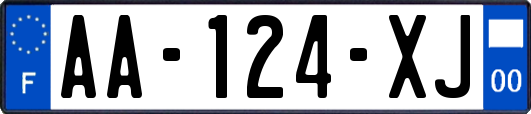 AA-124-XJ