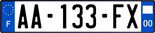 AA-133-FX