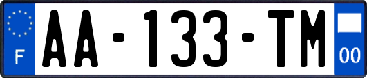 AA-133-TM