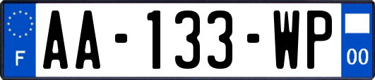 AA-133-WP