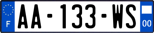 AA-133-WS