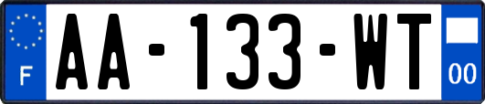 AA-133-WT