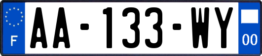 AA-133-WY