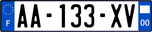 AA-133-XV