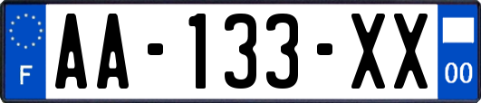 AA-133-XX