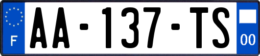 AA-137-TS