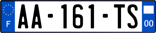 AA-161-TS