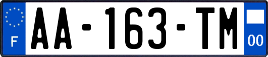 AA-163-TM