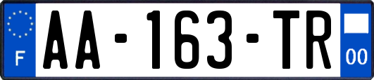 AA-163-TR