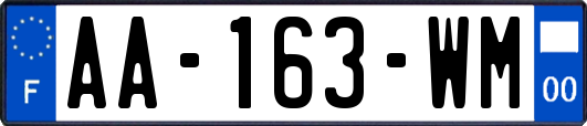 AA-163-WM