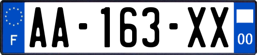 AA-163-XX