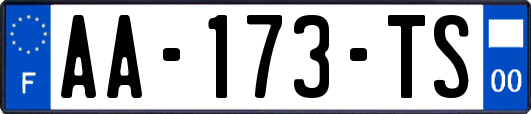 AA-173-TS